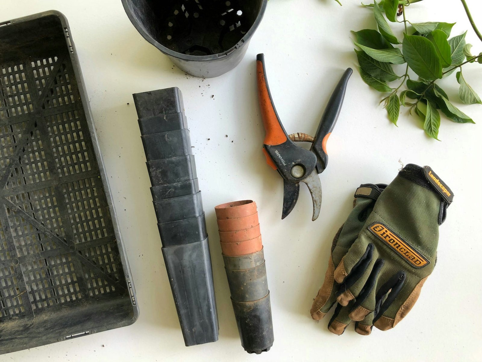 Best Gardening Tools for 2024 and How to Use Them