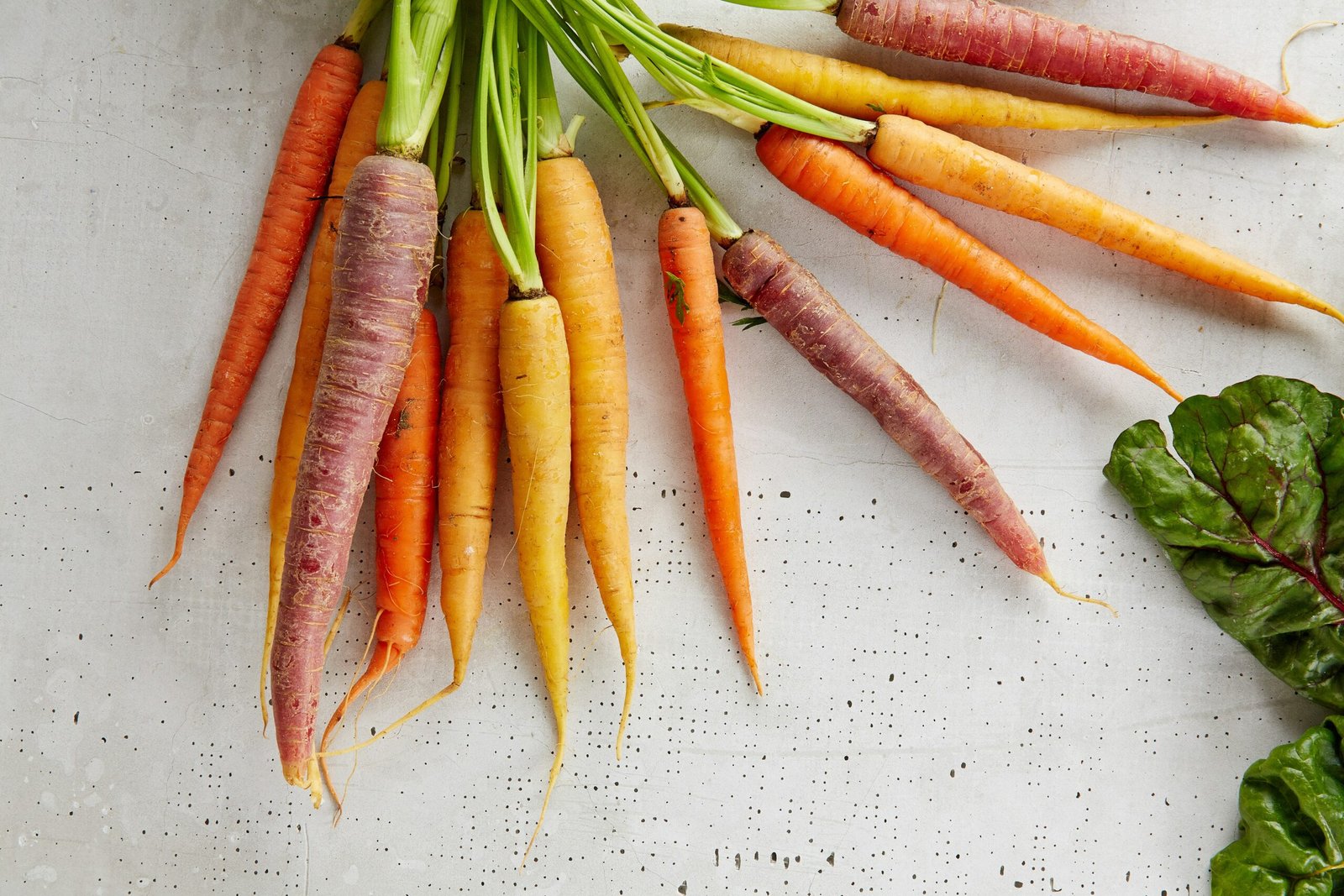 How to Grow Carrots: Tips, Tricks, and Best Practices