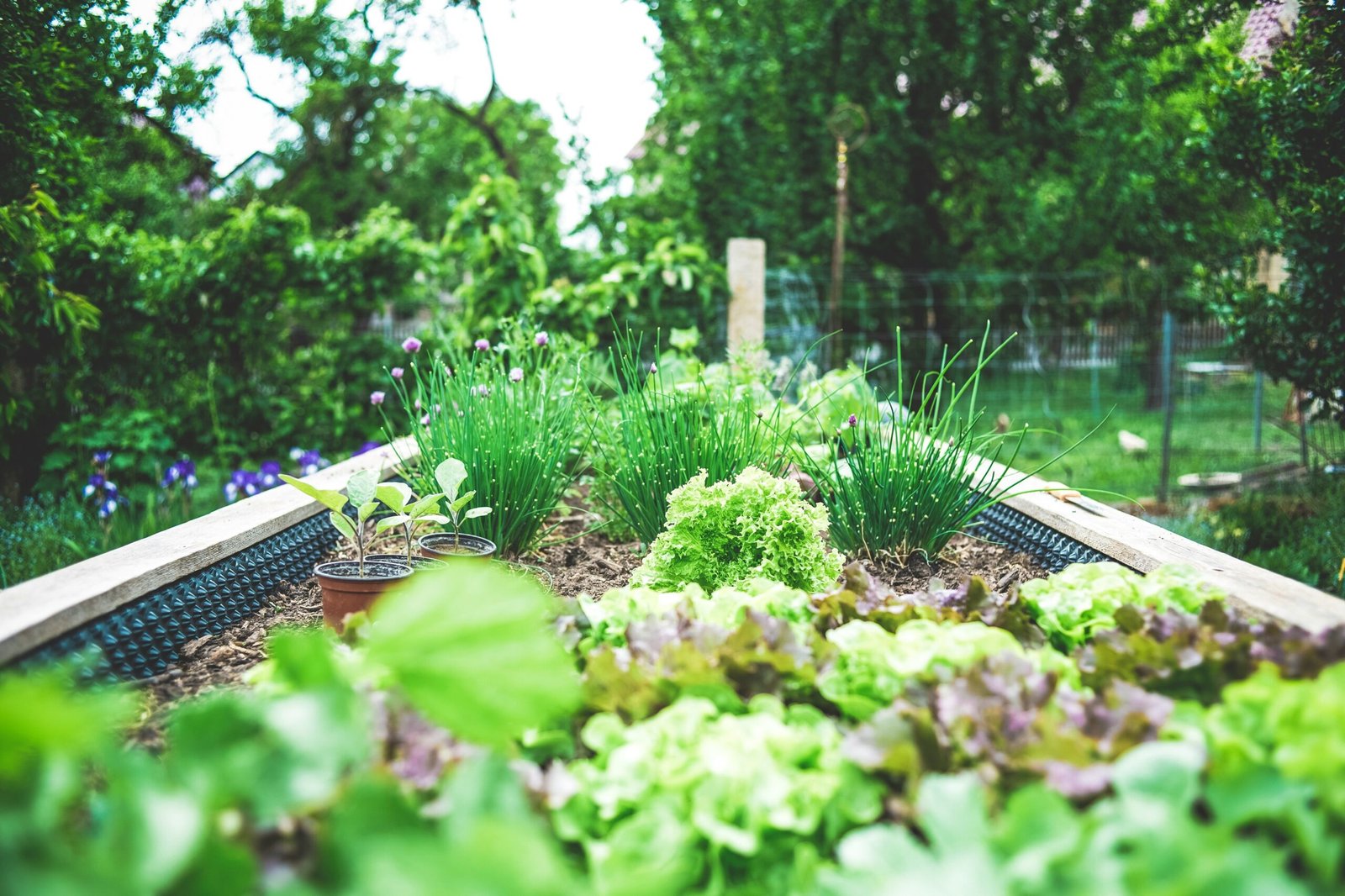 Small Garden Ideas: Tips and Tricks for Creating a Beautiful Outdoor Space