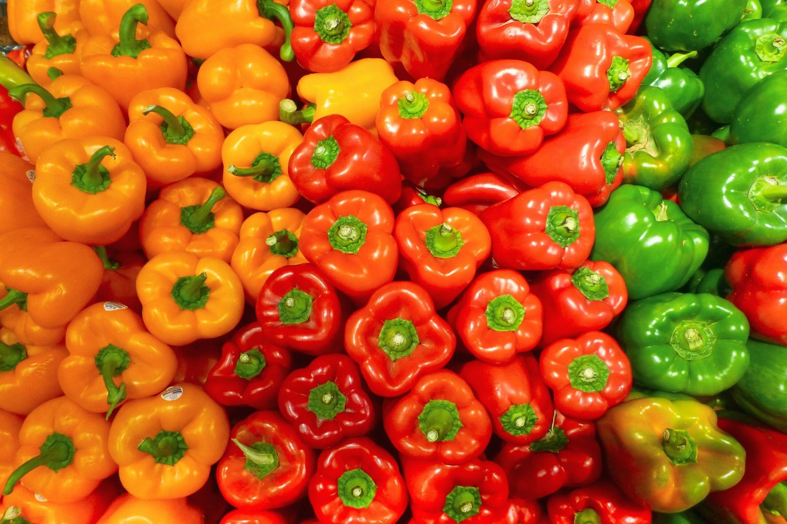 Bountiful Harvest: The Best Peppers for your Garden