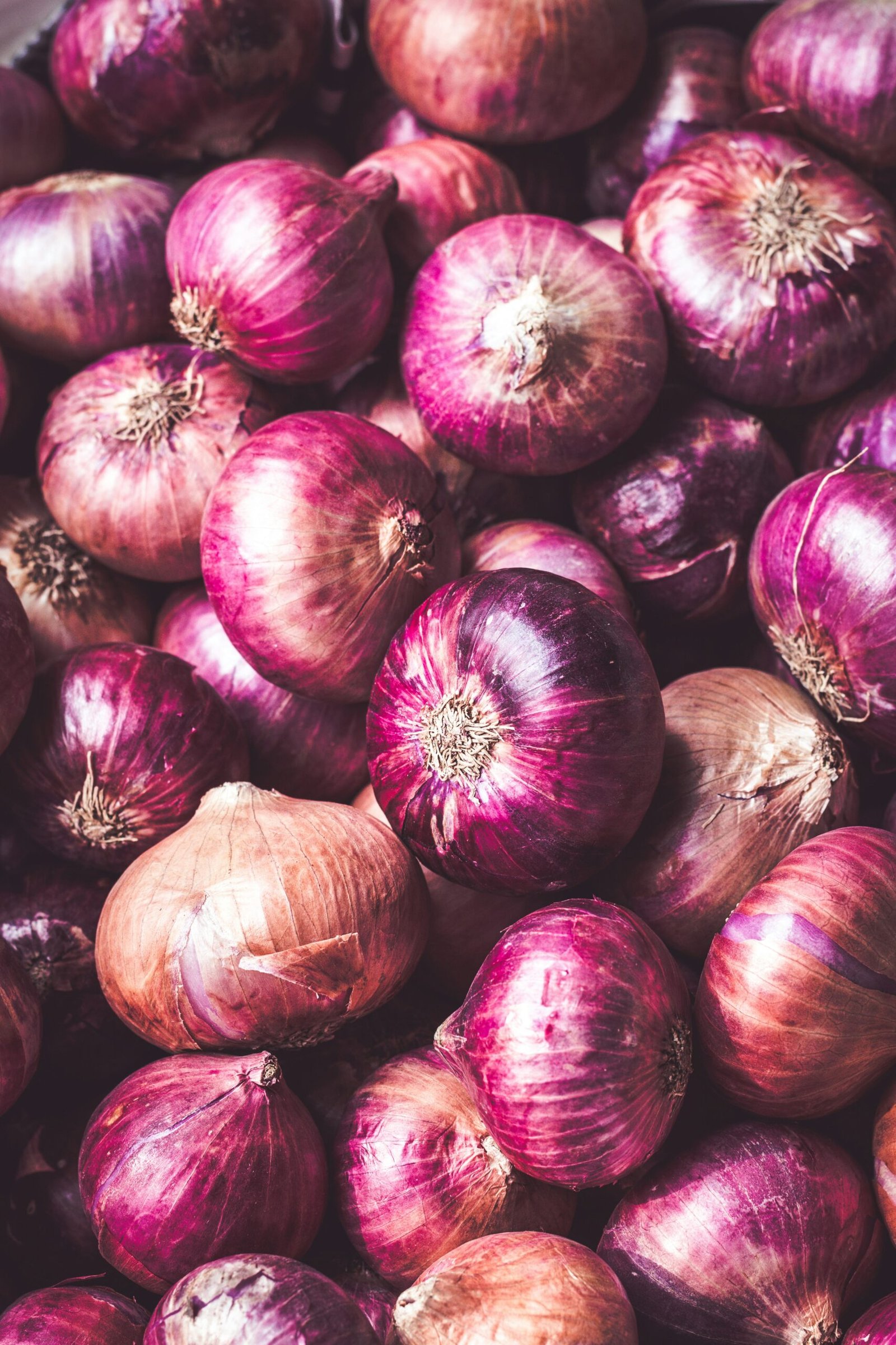 How to Grow Onions: Benefits, Soil Requirements and More